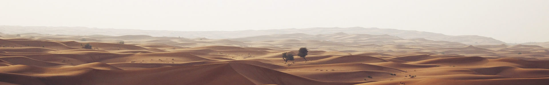 ٰĦ޹˾